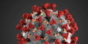 Informations Coronavirus COVID-19