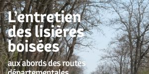 Entretien des lisières boisées