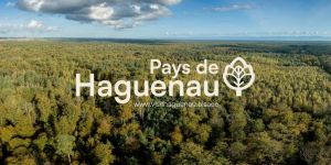 Semaines du Tourisme Economique et des Savoir-Faire-Alsace