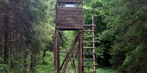 Information sur la chasse 2023-2024