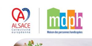 Service MDPH en ligne