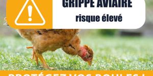Situation l'Influenza aviaire